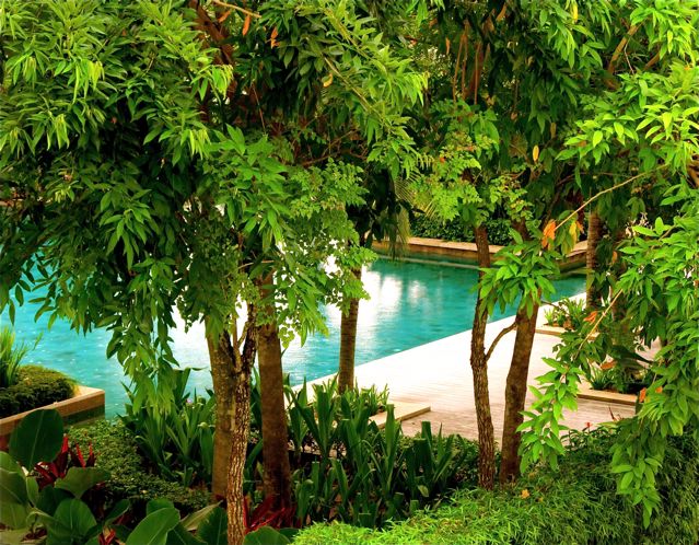 Beautiful tropical green foliage and pool Beautiful tropical green foliage and pool