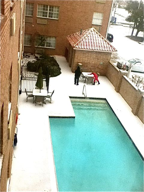 OMG! Snow in Dallas at our pool OMG! Snow in Dallas at our pool