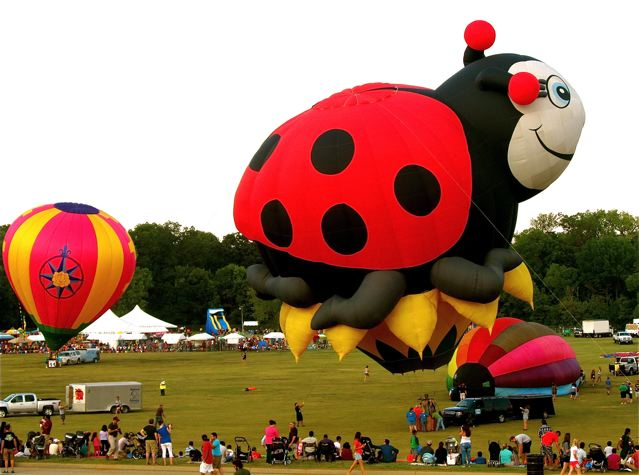 Hot Air Balloon Festival! Hot Air Balloon Festival!