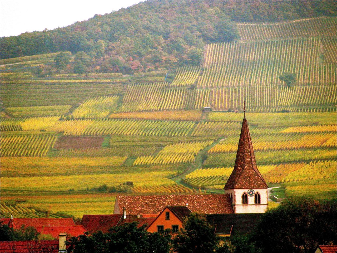 Alsace, France, family travel, wine, Route du Vin,soultravelers3 Alsace, France, family travel, wine, Route du Vin,soultravelers3