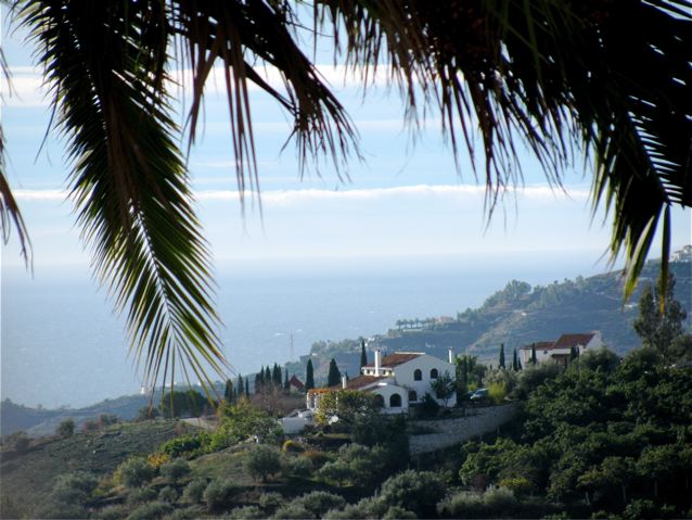 Beautiful med sea view, palms, spain, mediterranean Beautiful med sea view, palms, spain, mediterranean