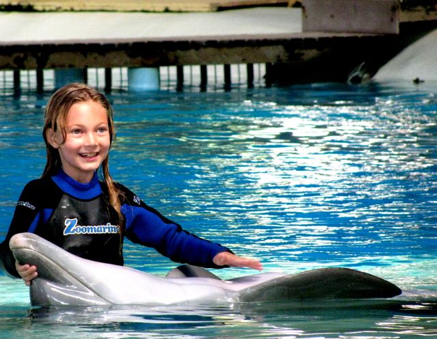 Family travel, girl learning up close & swimming with dolphins portugal