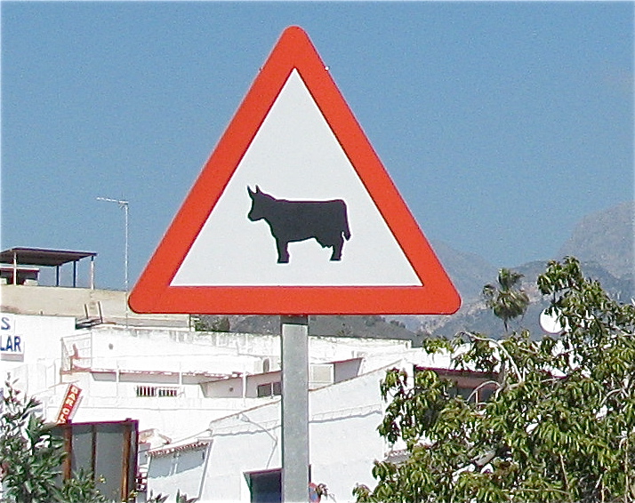 oxen crossing road sign, Andalusia Spain, soultravelers3, around the world travel oxen crossing road sign, Andalusia Spain, soultravelers3, around the world travel