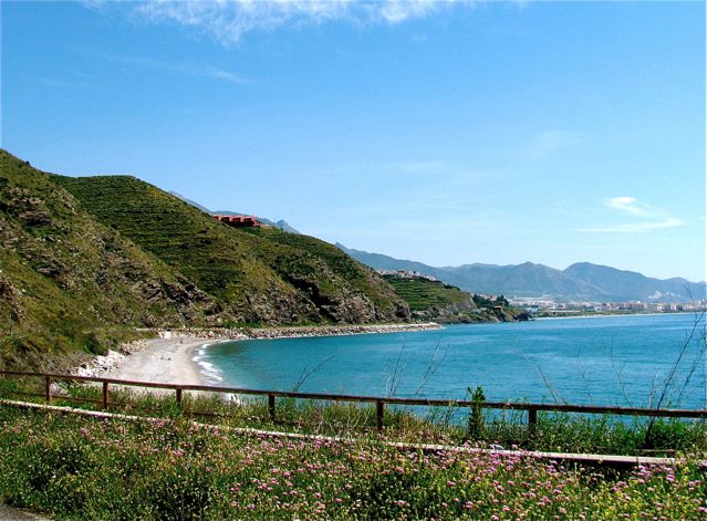 Family travel tip Costa del Sol beaches mountains spring flowers Family travel tip Costa del Sol beaches mountains spring flowers