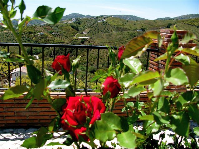 Andalusia beauty country side family travel tips costa del sol Andalusia beauty country side family travel tips costa del sol