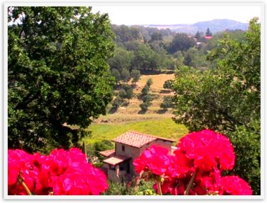 Tuscany Camping Europe Beautiful 5 star Chianti Hills Tuscany Camping Europe Beautiful 5 star Chianti Hills