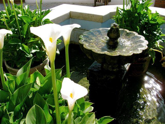 Costa del sol family travel tips Spain fountain village Costa del sol family travel tips Spain fountain village