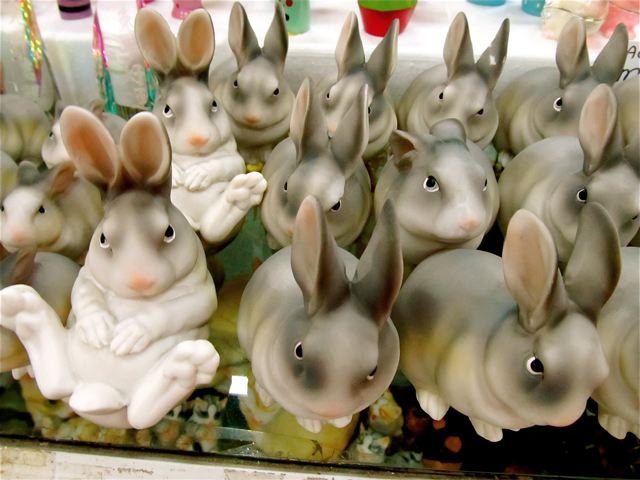 rabbits every where rabbits every where