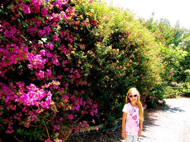 flowers and a girl in Spain flowers and a girl in Spain