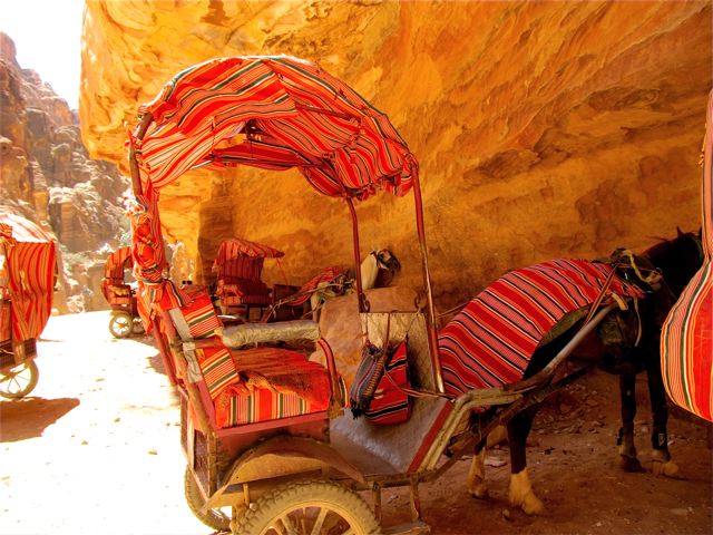 horse and buggies in Petra horse and buggies in Petra