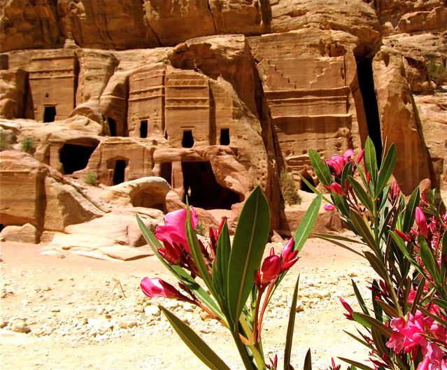 Petra and flowers, serene beauty Petra and flowers, serene beauty