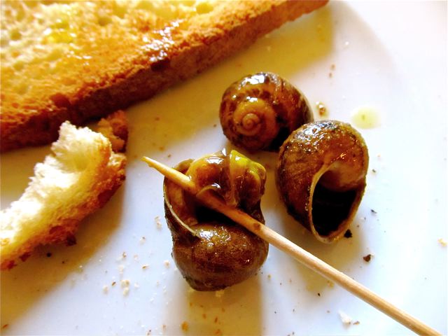 snails in Barcelona Catalan restaurant. Foodie fun photo! snails in Barcelona Catalan restaurant. Foodie fun photo!