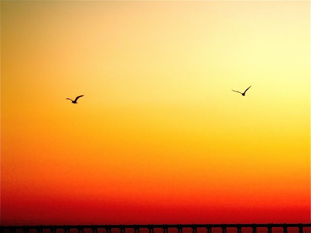 beautiful sunset