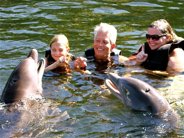 Swimming with dolphins in Key West Swimming with dolphins in Key West