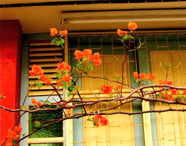 Penang's tropical Asia beauty and charm