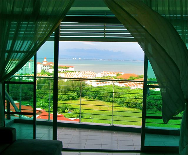 view from my kitchen