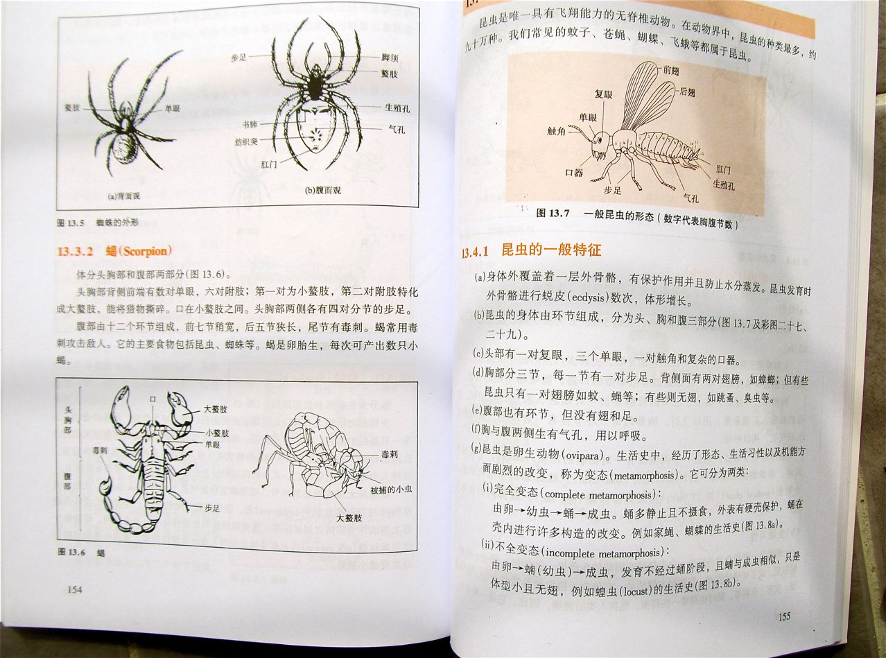 Learning biology in Mandarin Learning biology in Mandarin