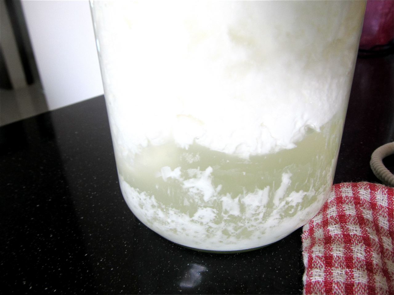 curds and whey