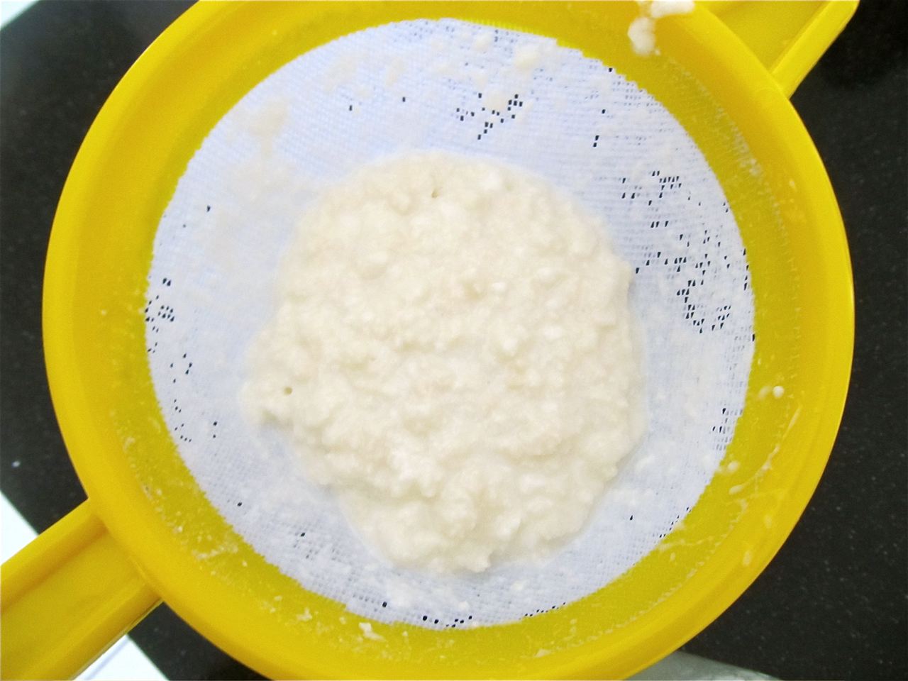 kefir grains