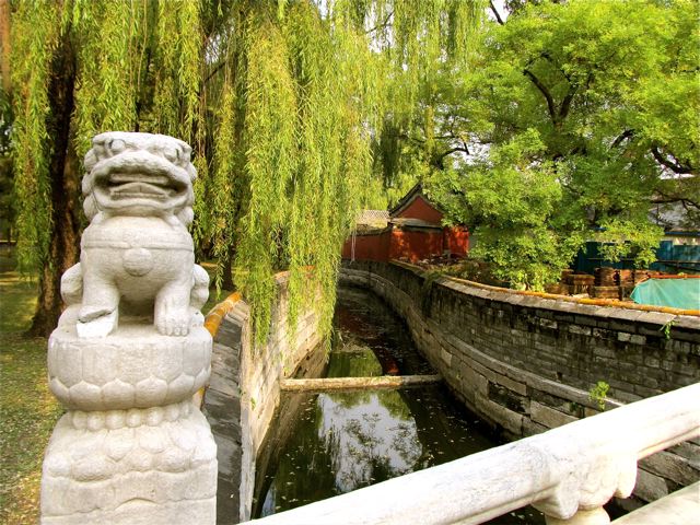 Loving the natural beauty and symbolism in China Loving the natural beauty and symbolism in China