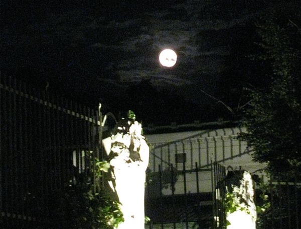 vienna travel moon vienna travel moon