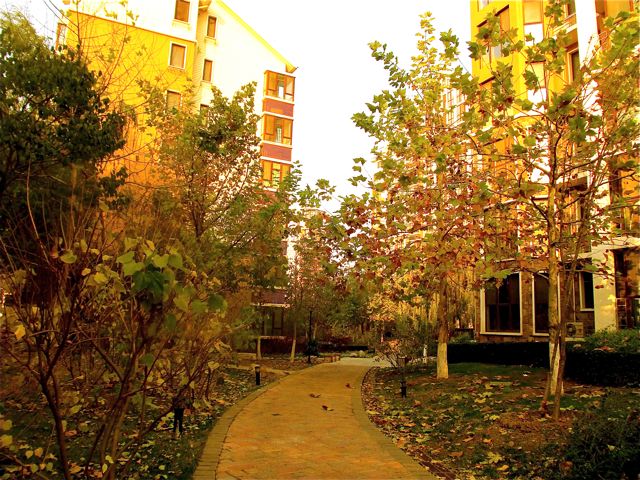 homestay in Beijing, China while immersing in Mandarin homestay in Beijing, China while immersing in Mandarin