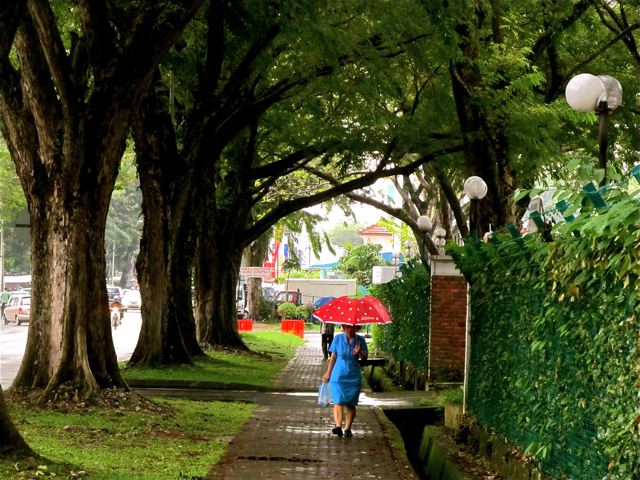 colorful umbrella on a rainy day in Asia colorful umbrella on a rainy day in Asia