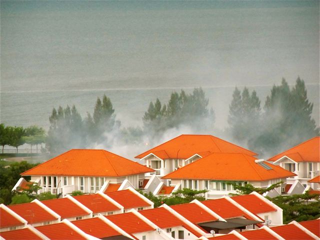 mosquito fogging and dengue mosquito fogging and dengue