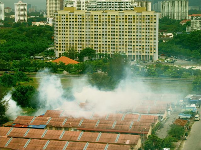Dengue fever and mosquito fogging in Asia Dengue fever and mosquito fogging in Asia