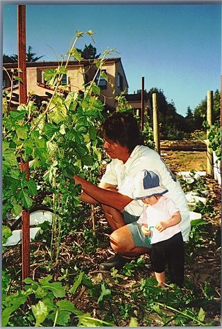 Daddy and baby daughter working in their vineyard Daddy and baby daughter working in their vineyard
