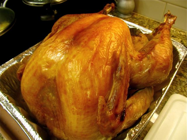 healthy, pastured, organic Turkey