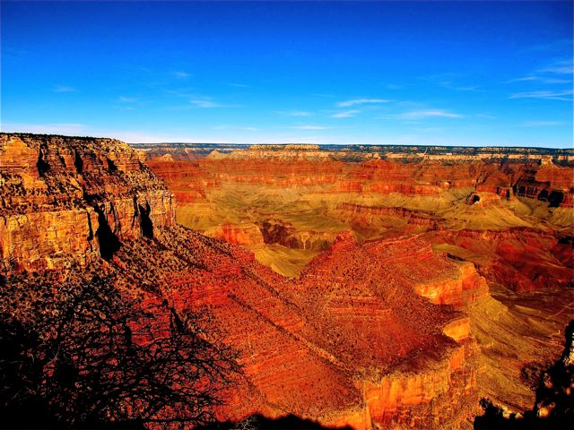 Grand Canyon beauty Grand Canyon beauty