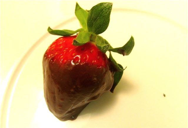 Healthy parlo chocolate dipped organic strawberry foodporn Healthy parlo chocolate dipped organic strawberry foodporn