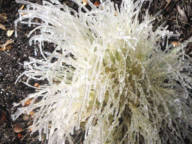 winter melts into spring - natures ice art photo winter melts into spring - natures ice art photo