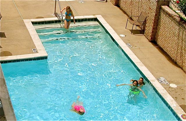 Mozart swimming with friends Mozart swimming with friends