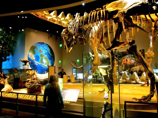 Visiting Dallas  at Perot Museum