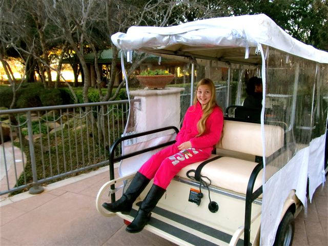 Mozart enjoying new mode of travel- golf cart