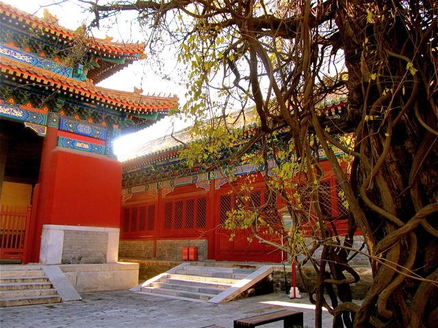 Beauty in China - Immersion visit to China to learn Mandarin