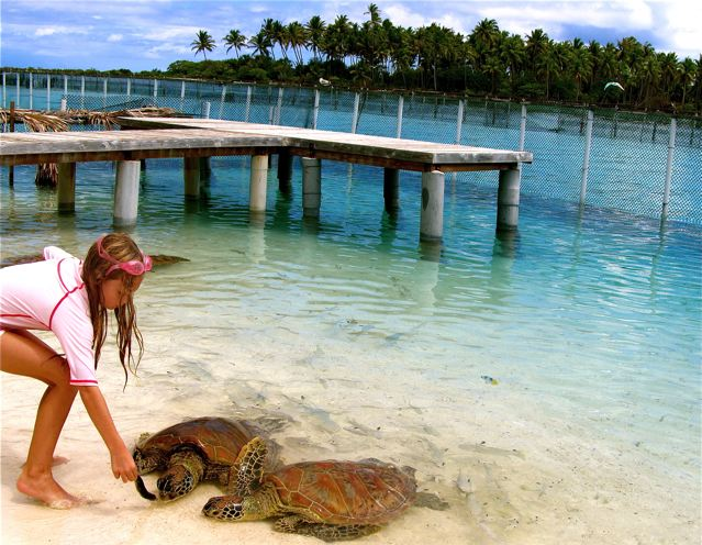 travel kid Mozart feeding turtles in Bora Bora - travel homeschool at it's best