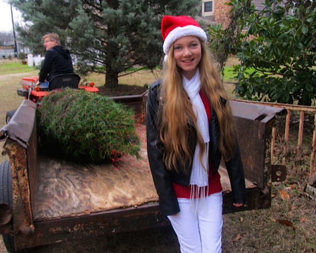 Cut Your Own Christmas Tree! Sustainable Family Fun Tradition loading up the wagon Cut Your Own Christmas Tree! Sustainable Family Fun Tradition loading up the wagon
