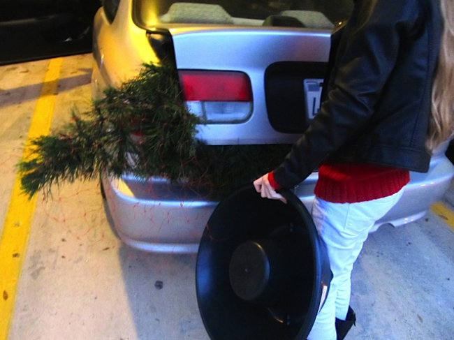 Cut Your Own Christmas Tree! Sustainable Family Fun Tradition - tree in the trunk Cut Your Own Christmas Tree! Sustainable Family Fun Tradition - tree in the trunk