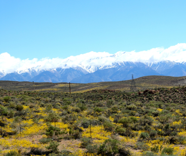 Driving to Mammoth from Los Angeles! Photo Essay Driving to Mammoth from Los Angeles! Photo Essay