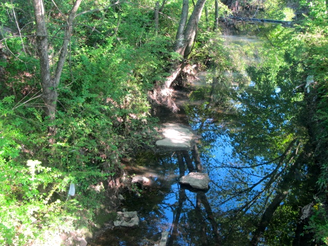 Going to Graceland - nature 