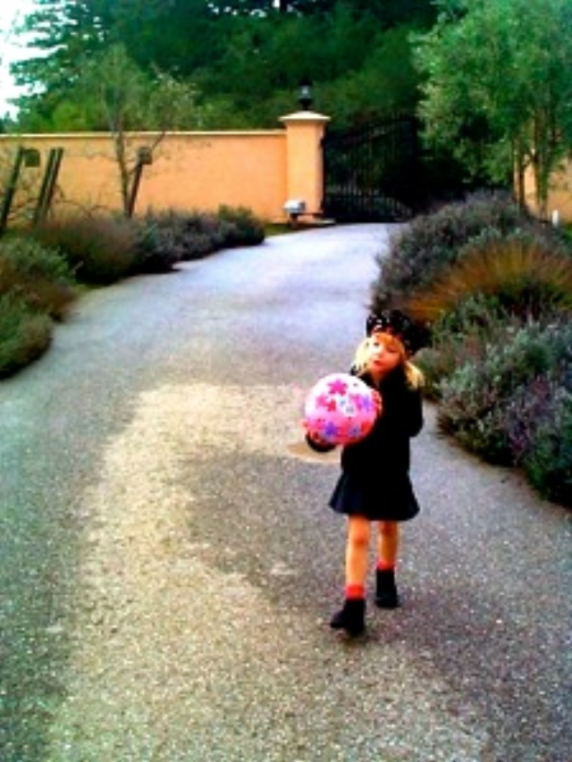 Mozart at 4 in Lavender at our home in California Mozart at 4 in Lavender at our home in California