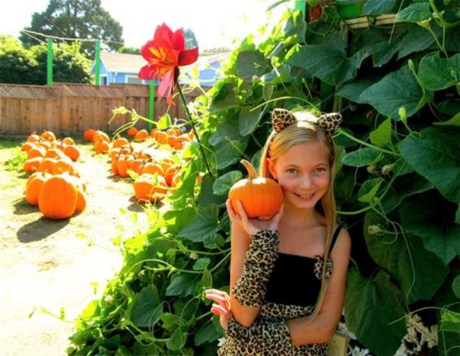Halloween travel around the world-cute kid Halloween costume and pumpkins Halloween travel around the world-cute kid Halloween costume and pumpkins