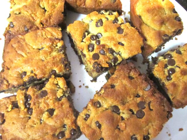 Yummy Paleo Chocolate Chip Cookie Bars Recipe