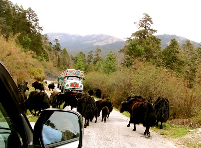 Bhutan - road trip Bhutan - road trip