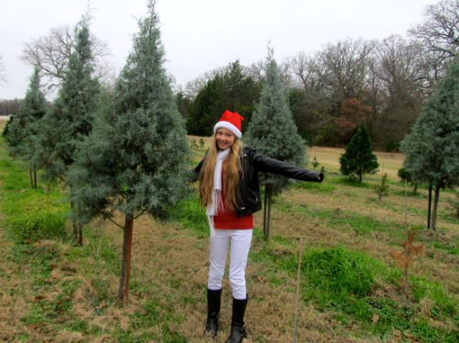 Cut Your Own Christmas Tree! Sustainable Family Fun Tradition Cut Your Own Christmas Tree! Sustainable Family Fun Tradition
