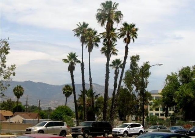 Los Angeles without a car