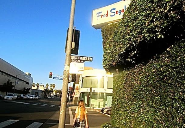 No car and  walking in Los Angeles 